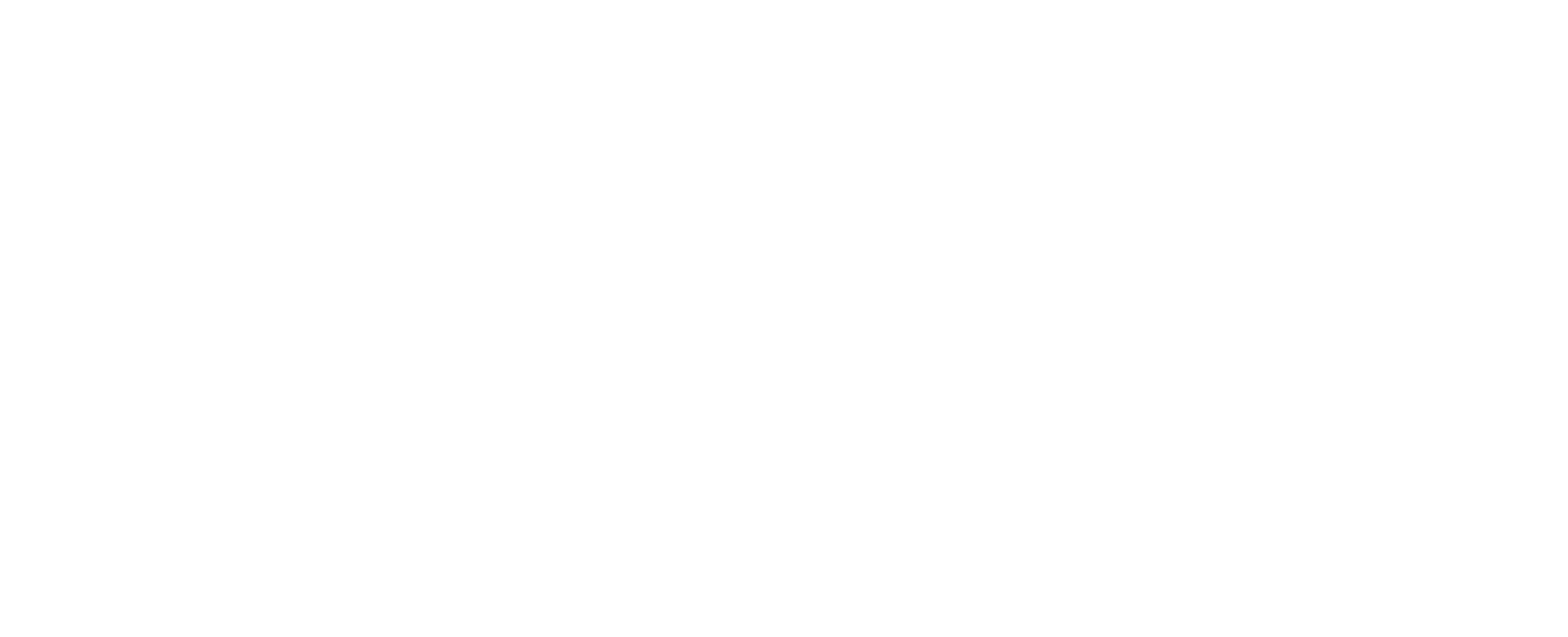 Logo 299 aventura