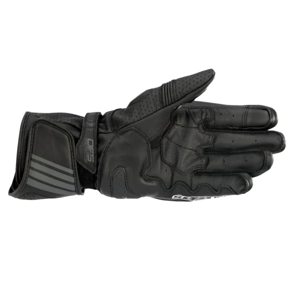 LUVA ALPINESTARS GP PLUS R V2 - Imagem 2